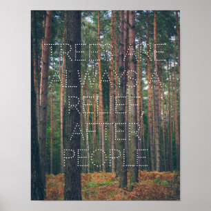 Affiche Forêt de pins