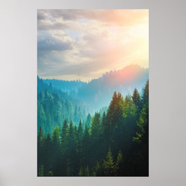 Affiche Forêt de pins dans les Dolomites, Italie (Devant)