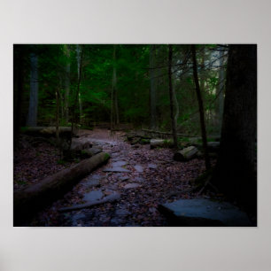 Affiche Forêt de rêve avec piste de roche