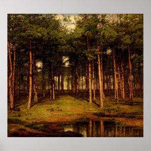 Affiche Forêt de sapins à Putte avec des lapins Jean Lamor