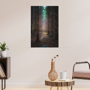 Affiche Forêt de sapins mystérieuse