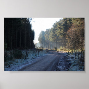 Affiche Forêt de Tentsmuir