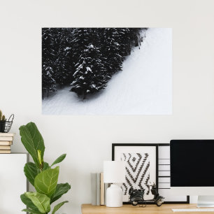 Affiche Forêt d'épicéas noire et blanche et neige