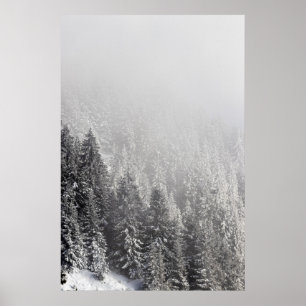 Affiche Forêt d'épinette neigeuse enveloppée dans du broui