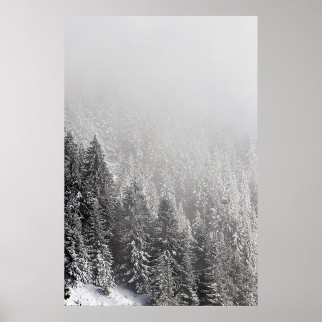 Affiche Forêt d'épinette neigeuse enveloppée dans du broui (Devant)