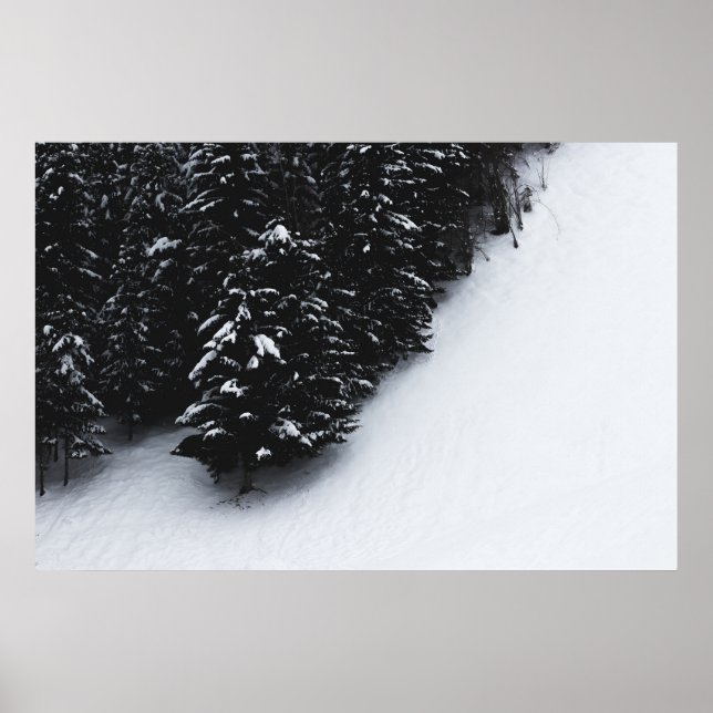 Affiche Forêt d'épinette noire et blanche et neige (Devant)