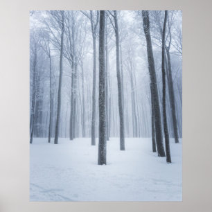 Affiche Forêt d'hiver congelée