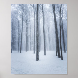 Affiche Forêt d'hiver congelée