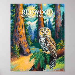 Affiche Forêt du Parc National de Redwood dans le style Va