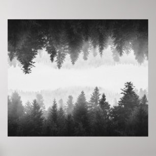 Affiche Forêt embrumée noire et blanche aux reflets