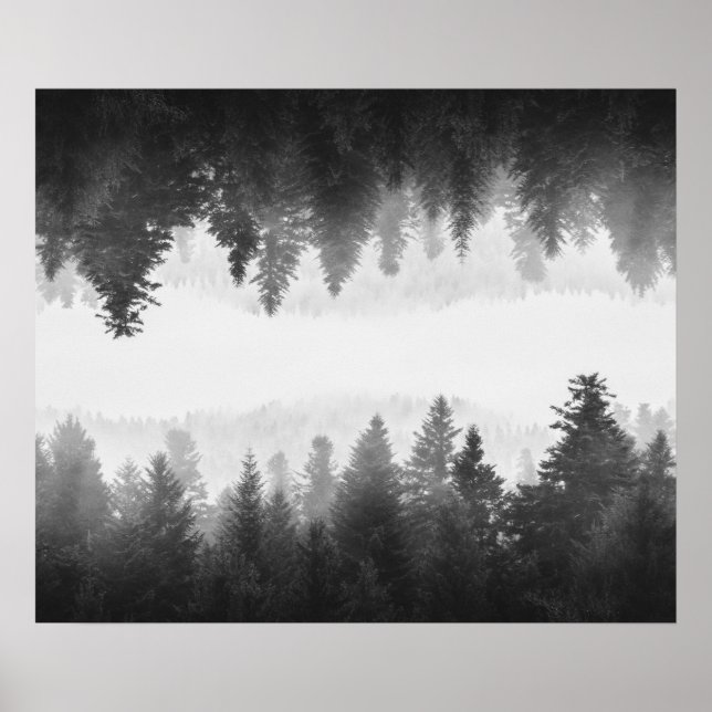 Affiche Forêt embrumée noire et blanche aux reflets (Devant)