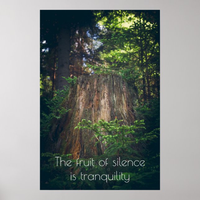 Affiche Forêt estivale paisible (Devant)