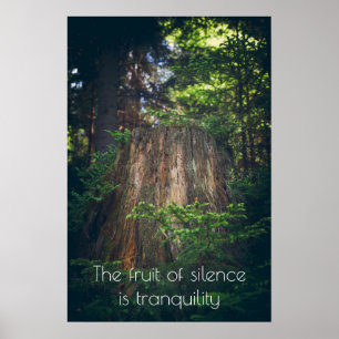Affiche Forêt estivale tranquille