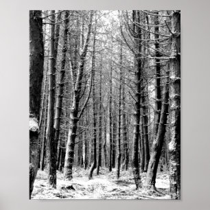 Affiche Forêt forestière de neige d'hiver