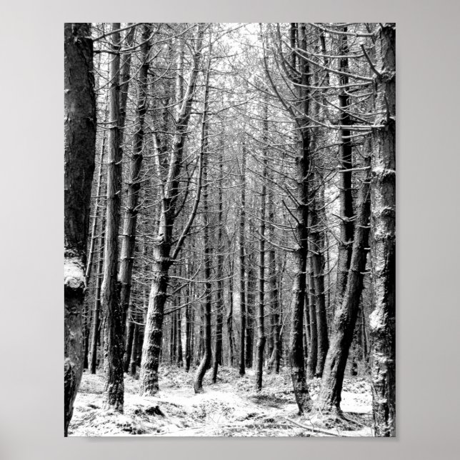 Affiche Forêt forestière de neige d'hiver (Devant)