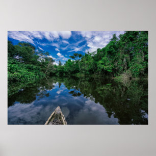 Affiche Forêt Forêt de la jungle péruvienne