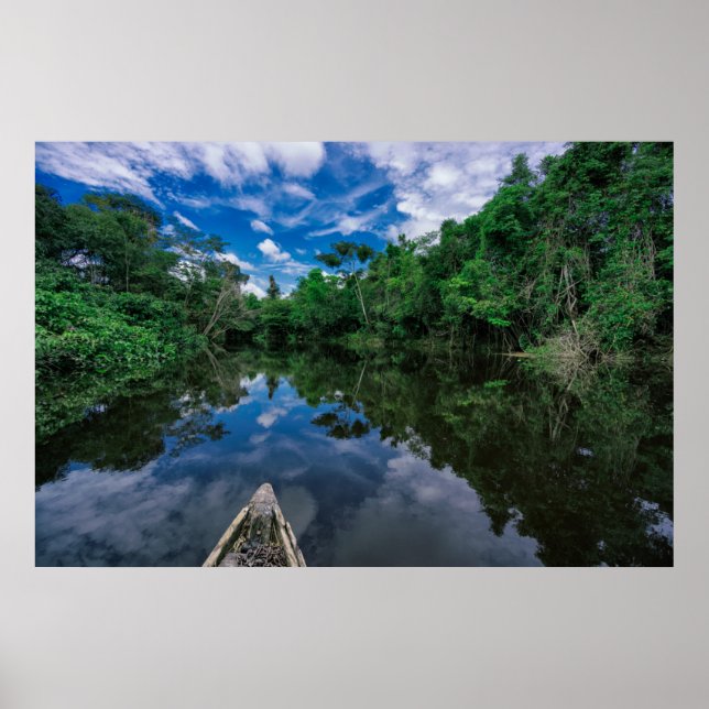 Affiche Forêt | Forêt de la jungle péruvienne (Devant)