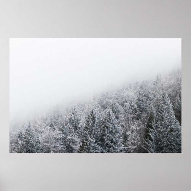 Affiche Forêt gelée (Devant)