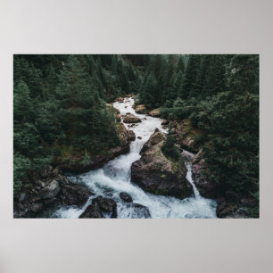 Affiche Forêt Grison Graubunden Canton