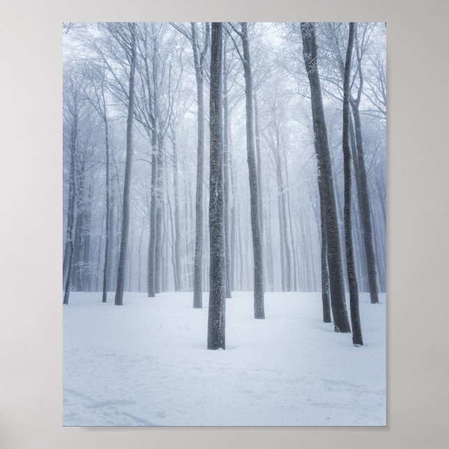Affiche Forêt hivernale gelée et brumeuse (Devant)