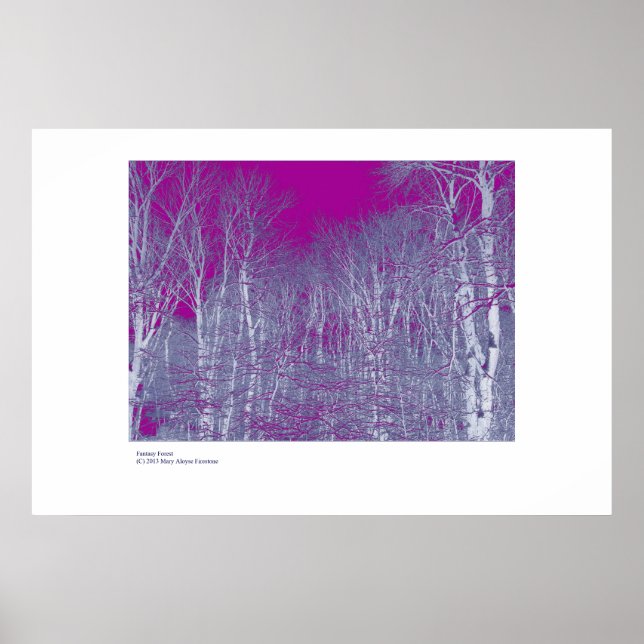 Affiche Forêt Imaginaire (Devant)