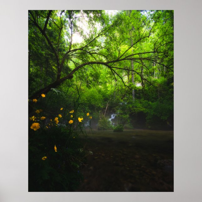 Affiche Forêt magique avec fleurs jaunes et cascade (Devant)