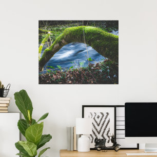 Affiche Forêt magique enchantée