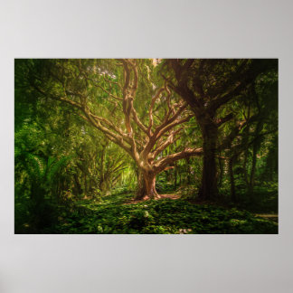 Affiche Forêt mystique