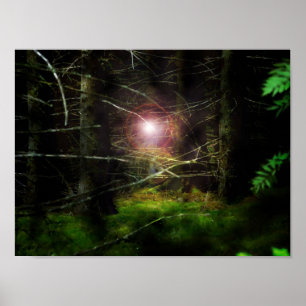 Affiche Forêt mystique