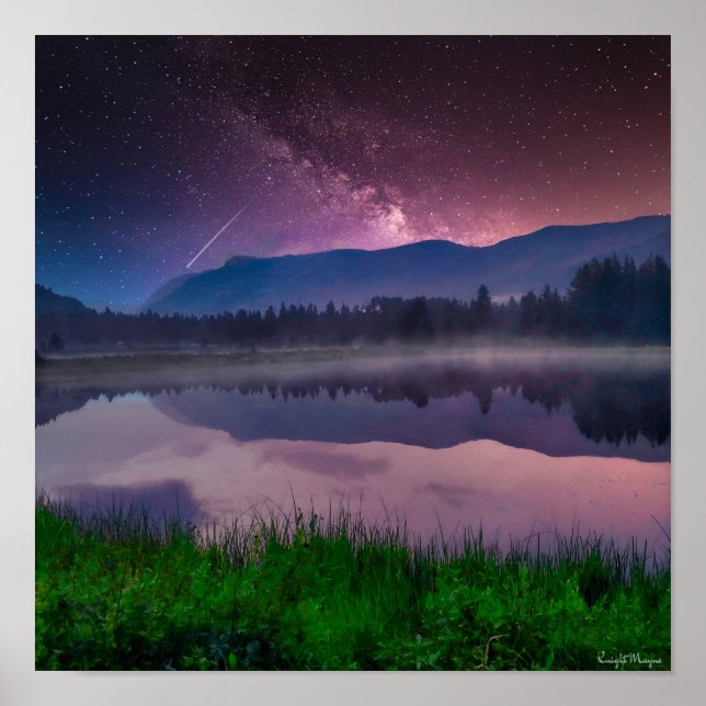 Affiche Forêt nationale d'Ashley (Devant)