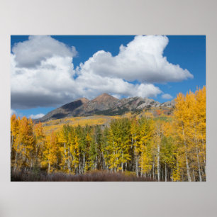 Affiche Forêt nationale de Gunnison, Colorado