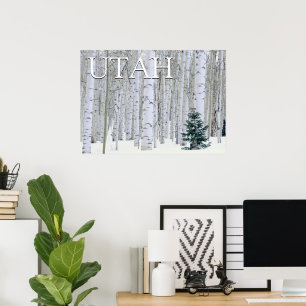 Affiche Forêt nationale de Manti-LaSal, Utah