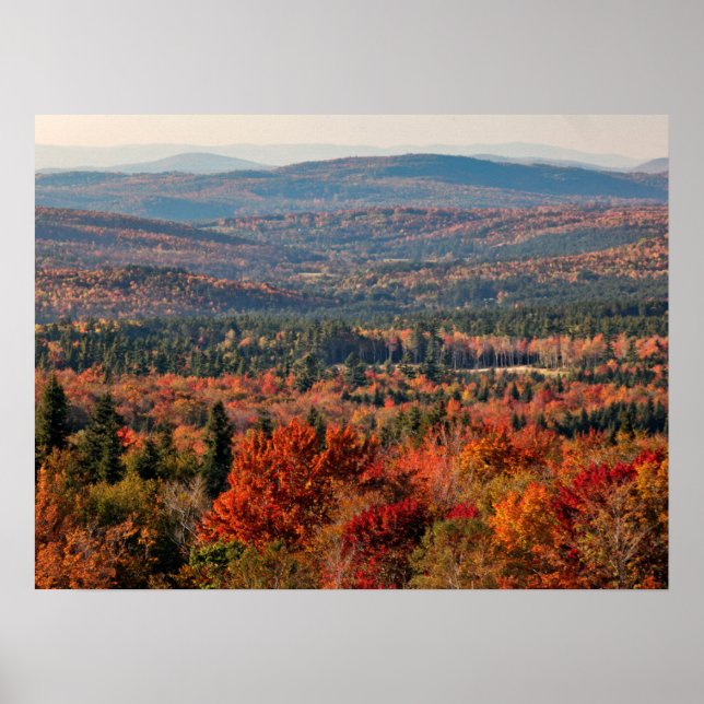 Affiche Forêt nationale de White Mountains | New Hampshire (Devant)