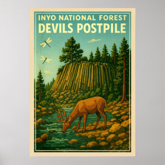 Affiche Forêt nationale d'Inyo - Devils Postpile V01