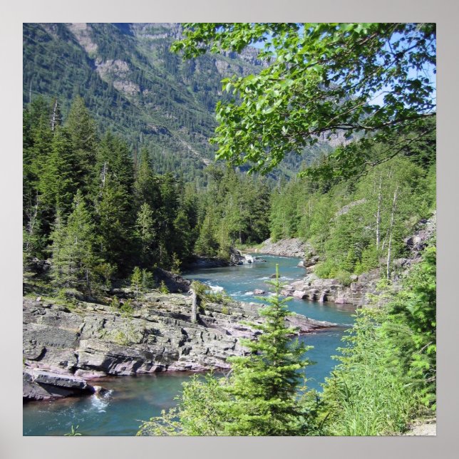 Affiche Forêt nationale époustouflante (Devant)