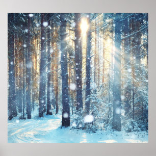 Affiche Forêt neigeuse Scène hivernale gelée