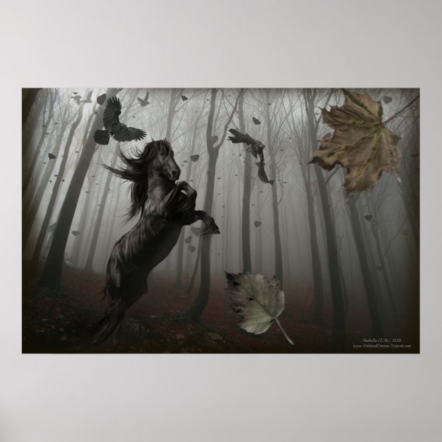 Affiche Forêt Noire (Devant)