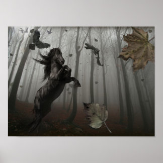 Affiche Forêt Noire