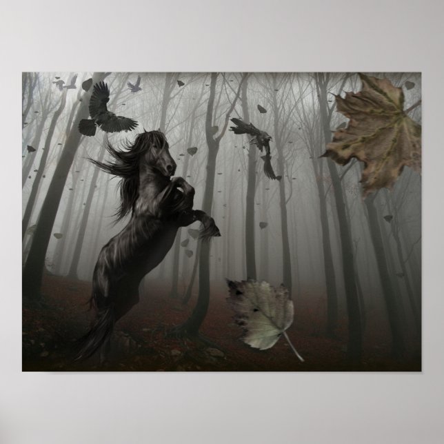 Affiche Forêt Noire (Devant)