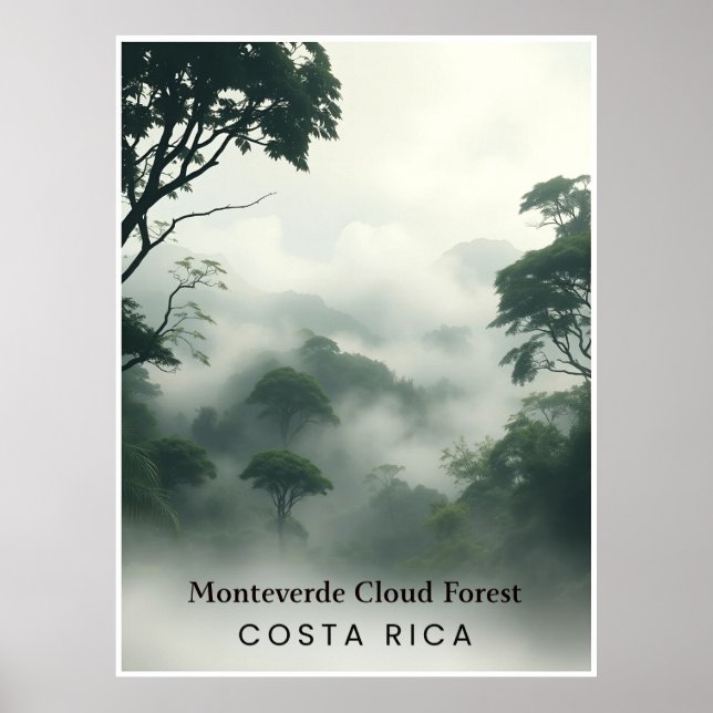 Affiche Forêt nuageuse de Monteverde, Costa Rica – Canopée (Devant)