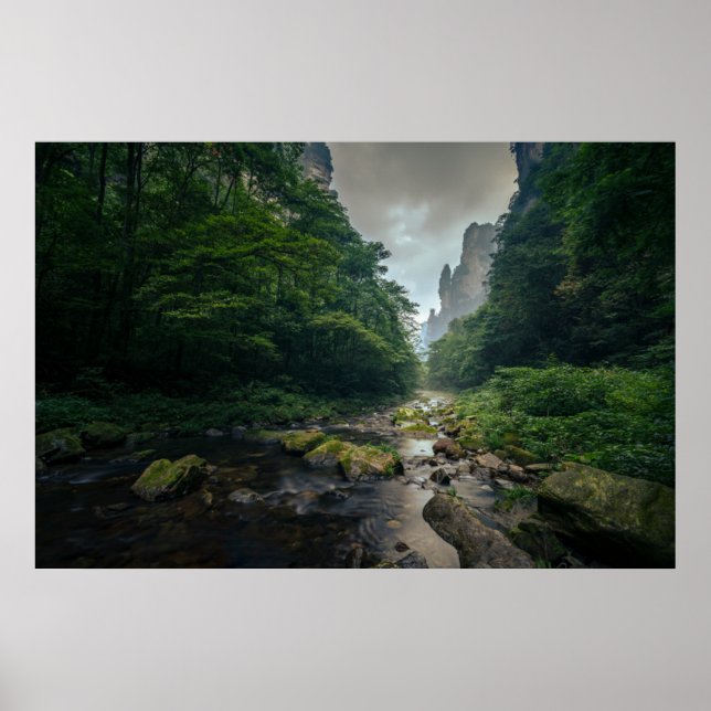 Affiche Forêt | Parc forestier national de Zhangjiajie (Devant)