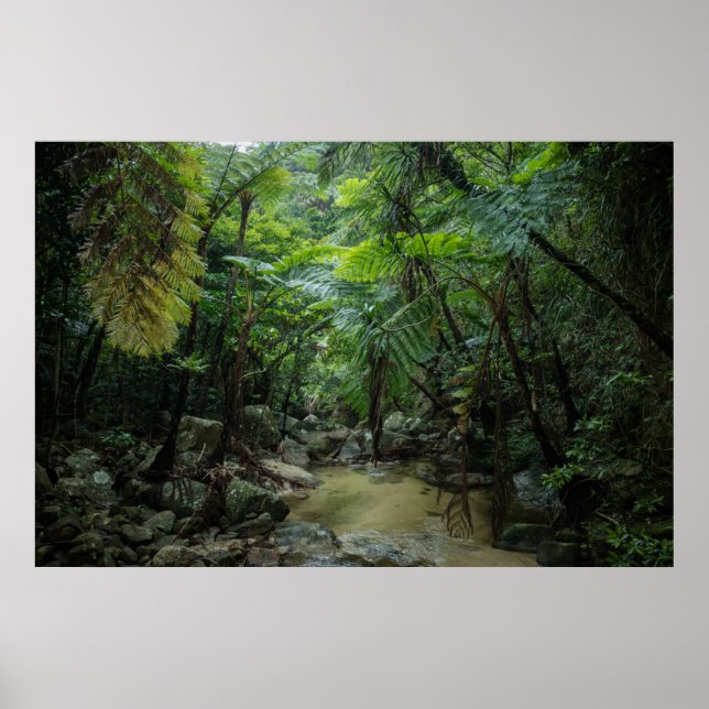 Affiche Forêt | Parc national Iriomote Ishigaki (Devant)