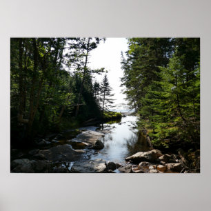 Affiche Forêt près de Hunters Beach à Acadia National Park