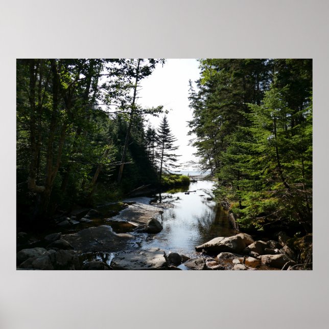 Affiche Forêt près de Hunters Beach à Acadia National Park (Devant)