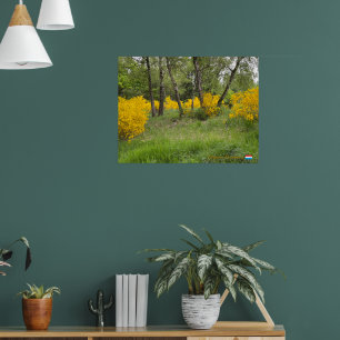 Affiche Forêt printanière au Luxembourg voyage