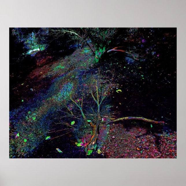 Affiche Forêt psychédélique... (Devant)