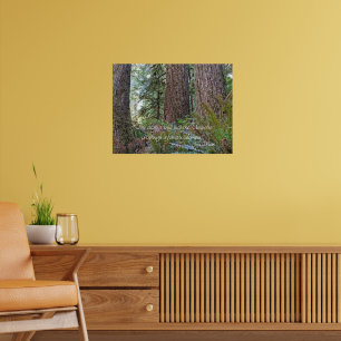 Affiche Forêt sauvage John Muir Nature Citation