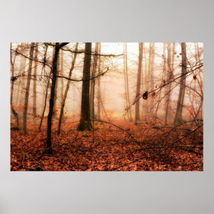 Affiche Forêt sauvage rouge brumeux hiver sans neige
