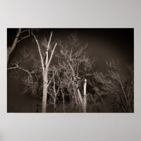 Forêt sombre – Art d'arbre en noir et blanc hantan
