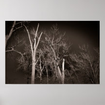 Forêt sombre – Art d'arbre en noir et blanc hantan